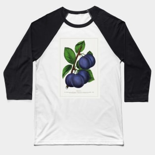 Niagara Plum Lithograph (1900) Baseball T-Shirt